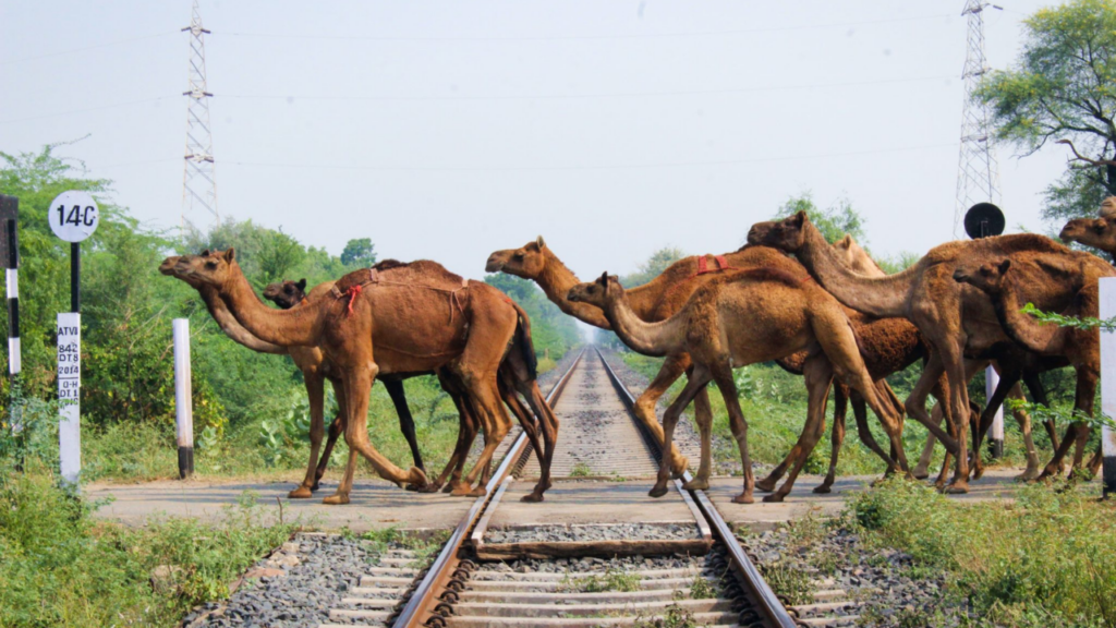 Frame Better Photographs