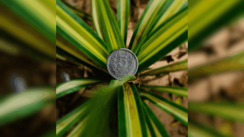 Leading Lines In Photography